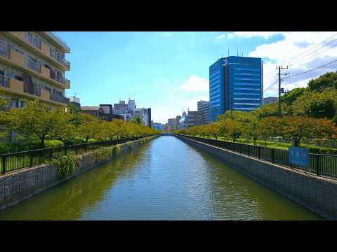 Tokyo [8K HDR] Walk starting from Kiba Station