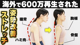 600万再生された姿勢改善ストレッチ✨毎日やると周りに羨ましがられる姿勢になります！