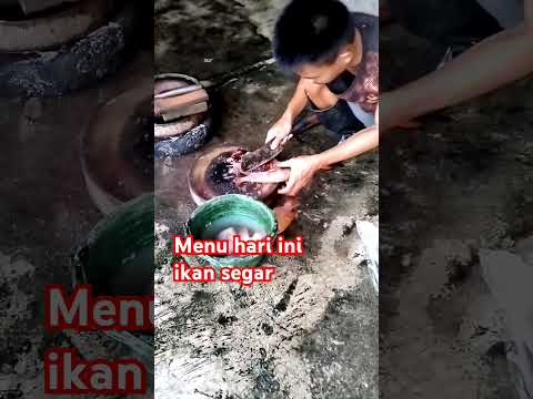 Ikan segar #shortvideo#shorts