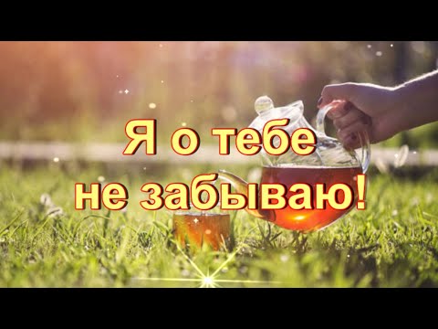 Я о тебе не забываю, привет сердечный посылаю! Видеопожелание