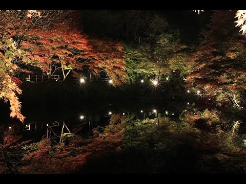 穴弘法もみじと100地蔵のライトアップ-2016【土岐市】