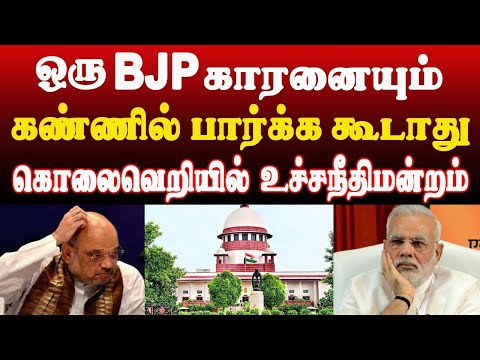 ஒரு BJP காரனையும் கண்ணில் பார்க்க கூடாது! கொலைவெறியில் உச்சநீதிமன்றம் | THUPPARIYUM SHAMBU