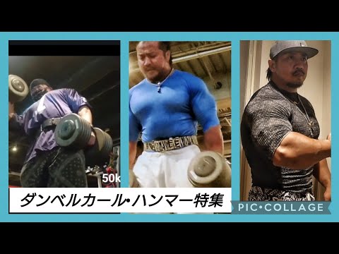 ダンベルカール•ハンマーハンマー特集！43kg〜54kg