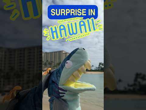 Tibby's HAWAII Surprise! ~ Hawaii for Kids!  #hawaii #kidshort #shortsforfun #kidtimestorytime