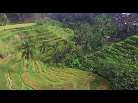 Drone Over Mountain Steps | Copyright Free Video Footage