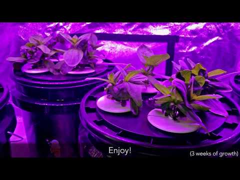 Complete Grow Tent w/ LED, Hydroponics, Ventilation under $500?!