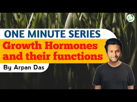 Hormones and their functions II one minute series II #ecohillagri #oneminuteseries