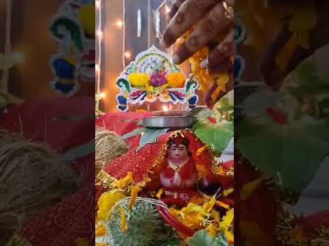 haritalika teej pooja at home #shorts #youtube #teej #happyteej #haritalikateej #festival #tranding