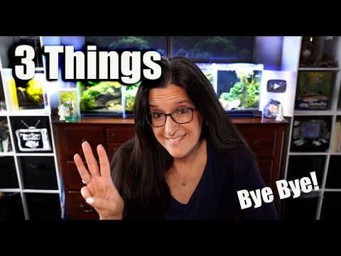 It's Finally Time To Share 😬 | The 3 Aquarium Things I Gave Up in 2022 Including INSTAGRAM?!