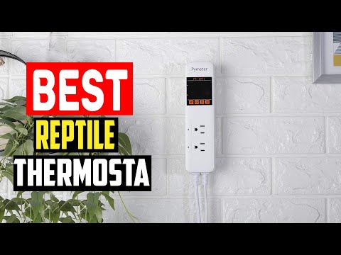 ✅Top 5 Best Reptile Thermostat in 2024