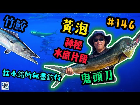 杜小銘的無盡釣行#146_#釣魚 #香港釣魚 #釣り #船釣 #艇釣 #鬼頭刀 #外海 #青物 #假餌 #黃泡 #煙仔虎 #正鰹 #黃鰭吞拿 #鐵板 #jigging #章雄 #青物