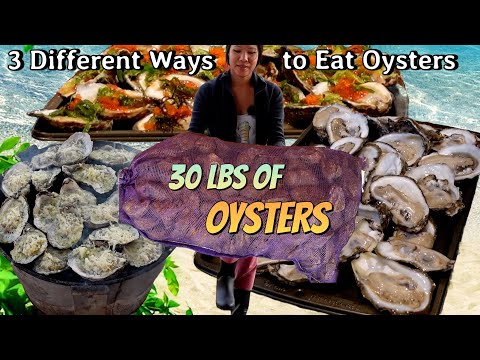 I bought 30 lbs of oysters!!