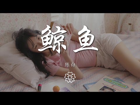 陳白 - 鯨魚（翻自 阿冗）『你給的愛到底是什麼形狀』【動態歌詞Lyrics】