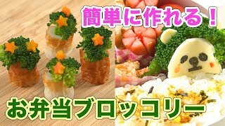 簡単に作れる！お弁当ブロッコリー