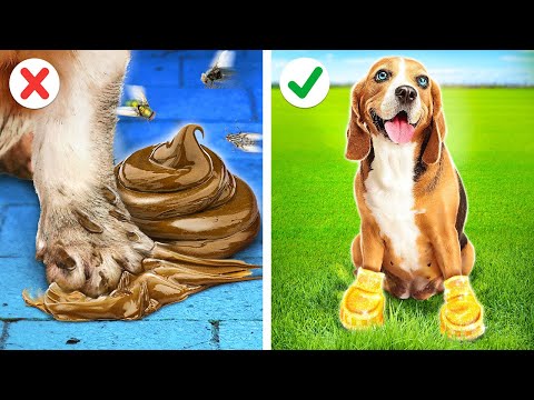 😥 I Found a Poor Tiny Dog! Best Hacks and Crafts for Pet Owners by La La Life Emoji