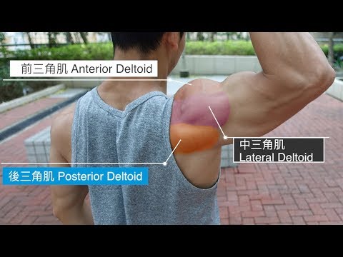 Shoulder Training - Exercises (More Rear Delts!)