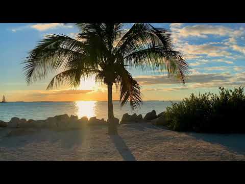 Tropical Sunset | Copyright Free Video Footage