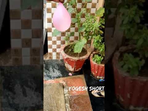 #shorts unmute balloon slow motion video in tamil