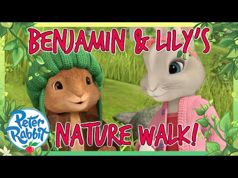 @OfficialPeterRabbit - 🍃 Benjamin and Lily's Nature Walk! 🍃 | Cartoons for Kids