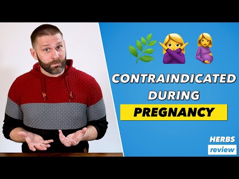 Herbs that are Contraindicated During Pregnancy | TCM Herbology Review