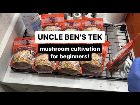 Uncle Ben’s Tek! Inoculating Uncle Ben’s Rice Packets and ZombieMyco AIO 5lb Grow Bag!