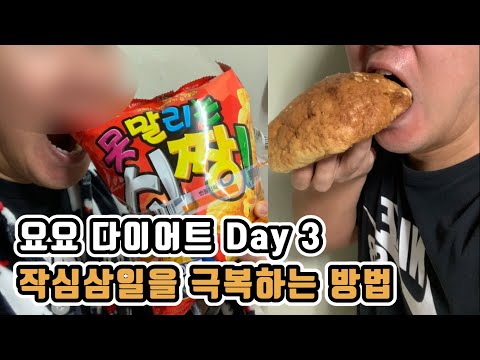 요요 다이어트 Day 3 다이어트 작심삼일을 극복하는 방법