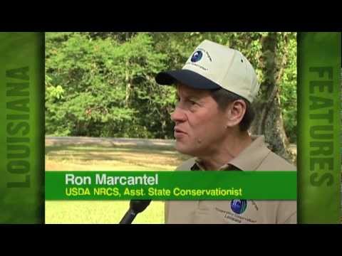 Wetland Reserve Program celebrates it's 200,000th Acre enlisted in La. (2005)