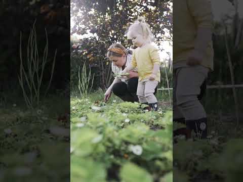 Cute baby video in garden #shorts #baby #garden #playing