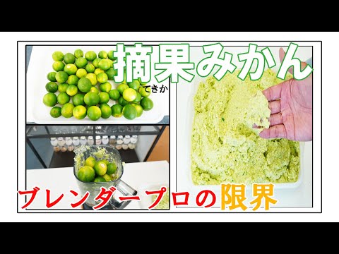 【ブレンダープロ】摘果みかんを一度に何個混ぜれるのか？