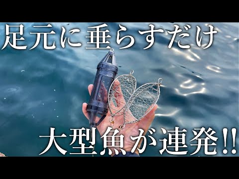 たった500円で大物が連発！ファミリー釣り場で超簡単に大型魚が釣れる［足元カゴ釣り］を紹介します