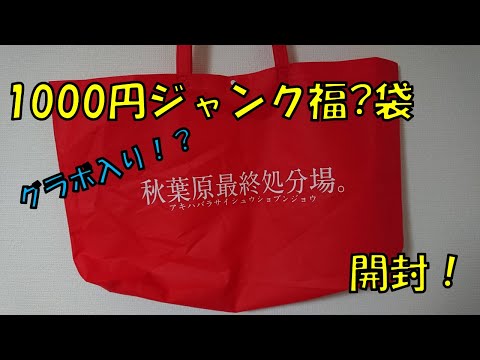 【ジャンク福袋】秋葉原最終処分場さんの1000円福袋開封！！