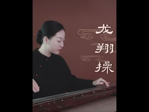 【古琴】龙翔操 肃穆逍遥，无我有我 #古琴  #音乐  #乐器演奏  #独奏  #古琴曲  #深圳古琴