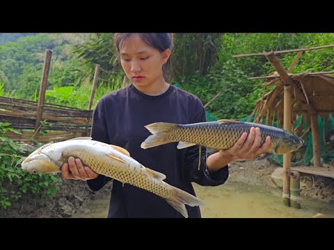 Grief - fish pond - digging up medicinal plants to sell || 17 year old single mother