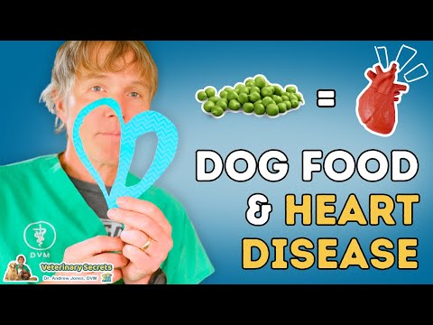 Dr. Andrew Jones Reviews FDA Study on  Dog Food and Canine Dilated Cardiomyopathy