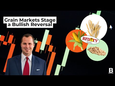 Grain Markets Stage a Bullish Reversal