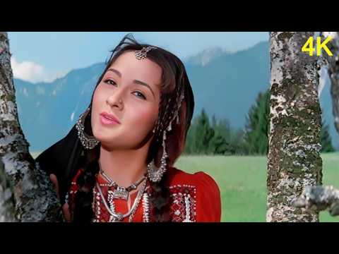 Heena (1991) Full Video Jukebox | Rishi Kapoor - Zeba Bakhtiar | Lata Mangeshkar - Mohammed Aziz