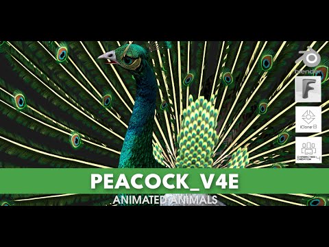 Peacock V4E