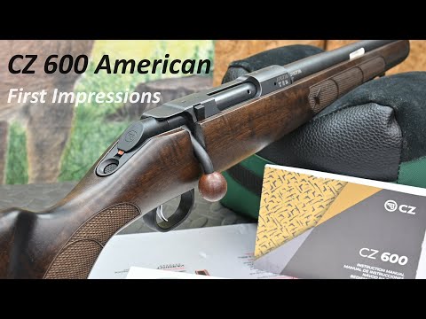 CZ 600 American in 223, FIRST IMPRESSIONS, What do YOU think?