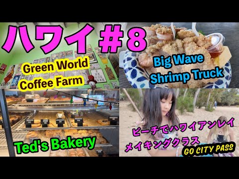 ハワイ#8 ハレイワまでドライブ&Green World Coffee Farm&ハワイアンレイメイキングレッスン&Ted's Bakery