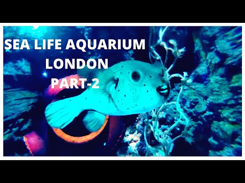 Sealife Aquarium Part 2 | Travel vlog to Sealife Aquarium London | A day in Sealife Aquarium Vlog