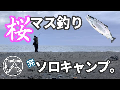 サクラマスを釣って食いつくす！【予定】浜辺の完ソロキャンプ。