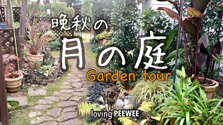 《ガーデンツアー》晩秋の月の庭　　　　〈Garden tour〉the arrival of late autumn.