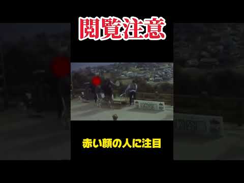 【閲覧注意】天橋立の股のぞきで転落事故の瞬間 #shorts