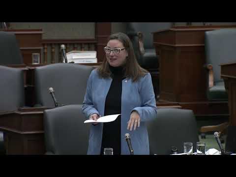 MPP Catherine Fife Bill 43 Debate - November 15