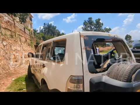 PALLASO HAS BRUTALLY ATTACKED ALIENSKIN AND DESTROYED HIS CARS AND HOUSES WITH STONES IN GANG