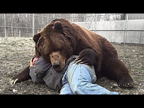 感涙！飼い主と10年ぶりの再会を果たしたペットたちの反応