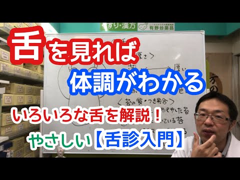 舌を見れば体調がわかる　【舌診入門】