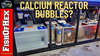 Dealing With Bubbles And A Loud Calcium Reactor | Subscriber Question