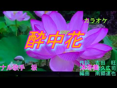 【新曲】酔中花　坂本冬美 カラオケ