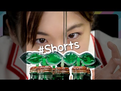 【#Shorts 】実験！芽が生える！